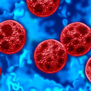 Cyclosporiasis in Windsor-Essex linked to cross-border travel