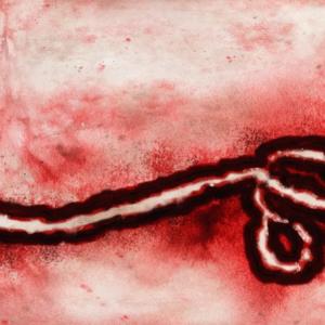 Canada authorizes clinical trials of Moderna Ebola vaccine
