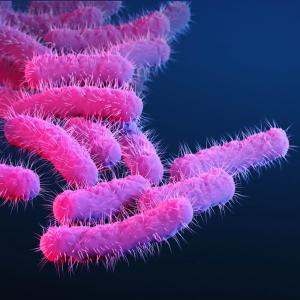 A new vaccine could vanquish a major cause of deadly diarrheal disease