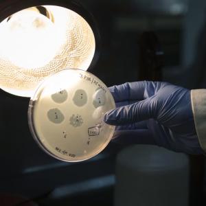 Safety fears as scientists make first viruses designed by AI
