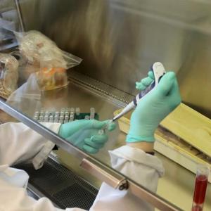 The hurdles facing Canada's planned pandemic-busting lab