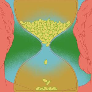 Cialis is an erectile dysfunction drug. Could it also help you live longer?