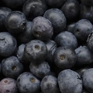 ‘No indication’ U.S. blueberry recall for death risk impacts Canada