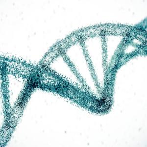 With the snip of a gene, scientists hope to erase high cholesterol for life