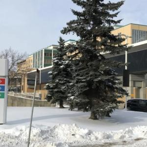 Canadian health policy professor says UCP government moving at high ‘speed’ on health care announcements