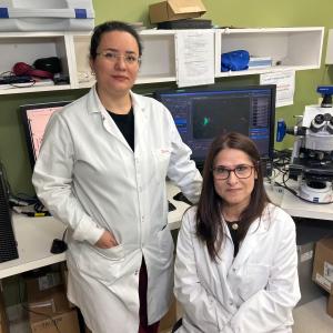 ‘It is exciting’: Manitoba researchers find potential breakthrough for Multiple Sclerosis treatment