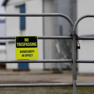 How does a bird virus infect a person? Surprising findings from B.C.’s human case of H5N1 avian flu