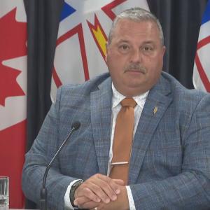 N.L.'s new health minister says negotiating a federal pharmacare deal is a top 'priority'