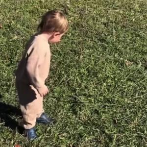 Ontario toddler survives rattlesnake bite, partly thanks to 18 doses of antivenom