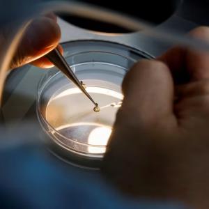 Egg freezing is becoming significantly more popular in Canada