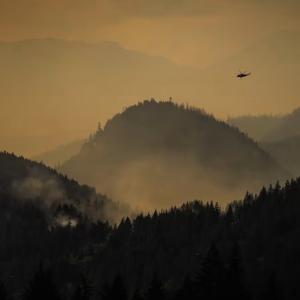 Wildfire smoke exposure during pregnancy linked to higher autism risk in children