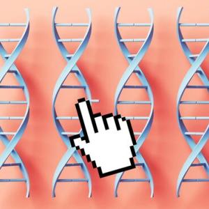 2025 was a year of breakthroughs in health and medicine. Here are five