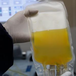 4 people died after giving plasma in the last decade, 3 of them in Manitoba: Health Canada