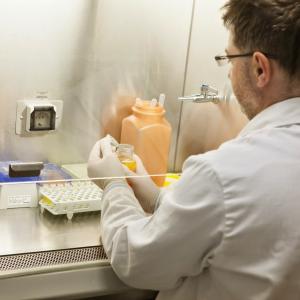 AI helps pathologists spot prostate cancer faster: What Canada can learn from landmark UK study