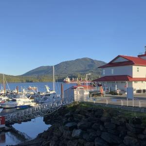 More than 120 people fall sick from norovirus outbreak on cruise ship bound for Canada