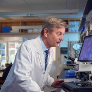 A healthier gut may be key to cancer care