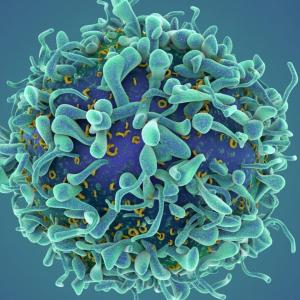 A revolutionary cancer treatment could transform autoimmune disease