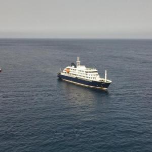 A timeline of the cruise ship hantavirus outbreak and when passengers fell sick