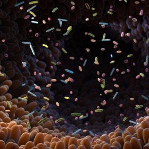 Antibiotic use linked to 'persistent' gut microbiome changes