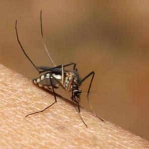 At least 5 dead in Burundi from a mystery illness: Africa CDC