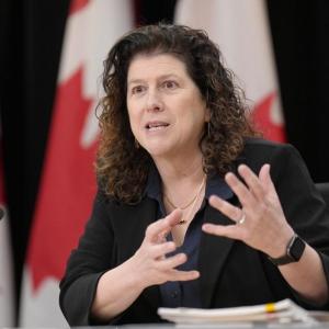Auditor general reports on avian flu vaccines, First Nations funding
