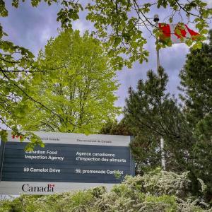 Avian flu found at commercial poultry facility in Amherstburg