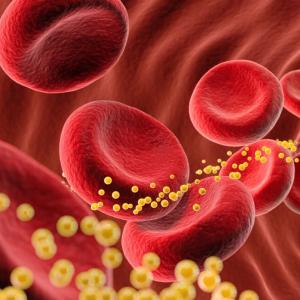 Bad cholesterol slashed 62% by single dose of gene-editing drug in small trial