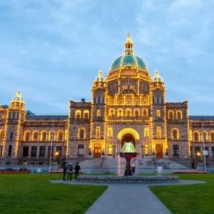 B.C. bill that would have stopped doctors from providing puberty blockers defeated
