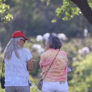 Bird Brain: New study finds birdwatching may boost brain health and slow cognitive aging