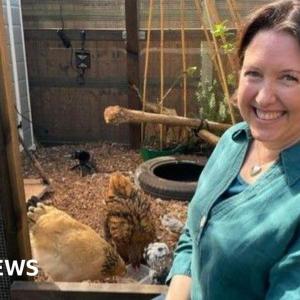 Bird flu vaccine trial begins against potential pandemic strain