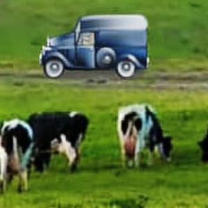 Brain train game may actually help protect against dementia for up to 20 years