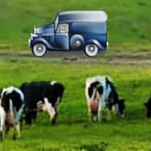 Brain train game may help protect against dementia for up to 20 years