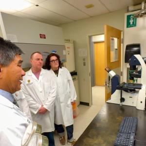 Calgary researchers study Vitamin B3 as potential treatment for deadly brain tumour