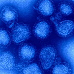 Canada could face 'worst kind' of flu season, experts warn