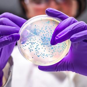 Canada has a new list of high-risk superbugs. Here's what's on it