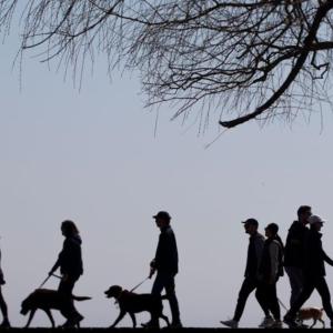 Canada life expectancy higher but trend remains fragile