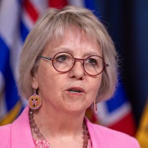 Canadian cruise passenger isolating in B.C. tests 'presumptive positive' for hantavirus