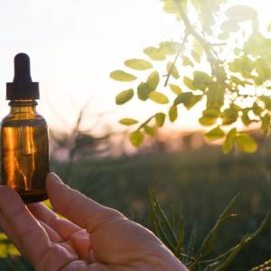 Cancer pseudoscience and the cultural moment