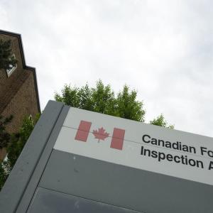 CFIA warns of U.S. outbreaks of pseudorabies in commercial swine