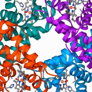 Clinical trial shows gene editing works for β-Thalassaemia, too