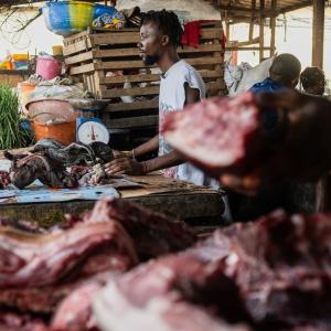 Congo Ebola outbreak highlights risk of hunting, eating wild animals