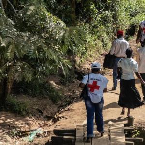 Congo's Ebola outbreak is 'outpacing' response, WHO says