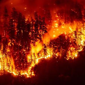 Contaminated drinking water can last months or even years after wildfires: Canadian study