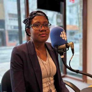 Delaying emission targets at Horne Smelter will have impacts on public health, doctor says