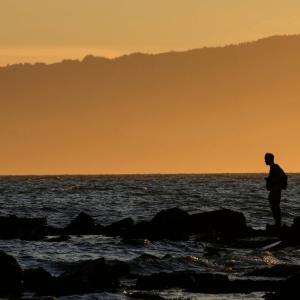 Do 'forever chemicals' age men faster? Experts urge caution on new study