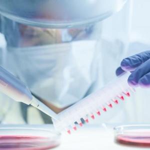 GAO calls for greater transparency on high-risk pathogen research