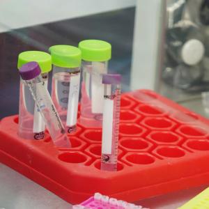 Genmab scraps development of experimental cancer therapy