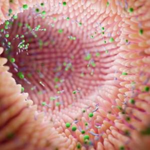 Gut microbiome can reveal risk of Parkinson's, scientists say