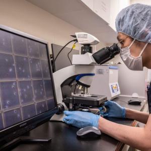 Health Canada drops final barriers to sperm donation by gay and bisexual men