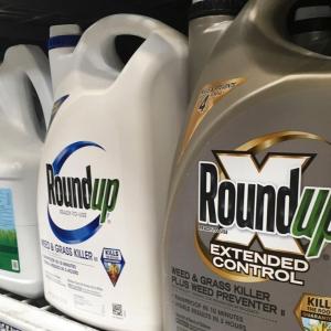 Health Canada said this controversial pesticide is safe. Behind the scenes, the agency has ramped up its monitoring